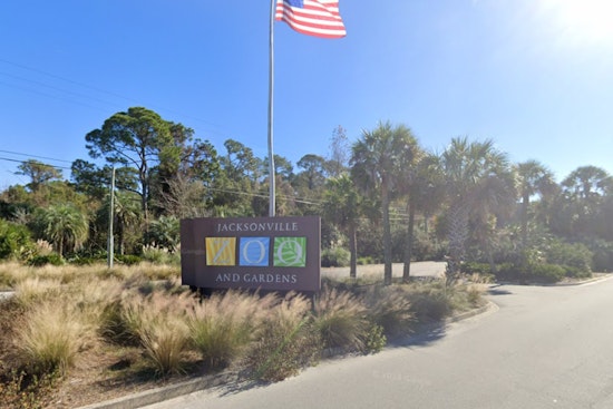 Escaped Warthog Mateo Located with Help of Thermal Drone at Jacksonville Zoo