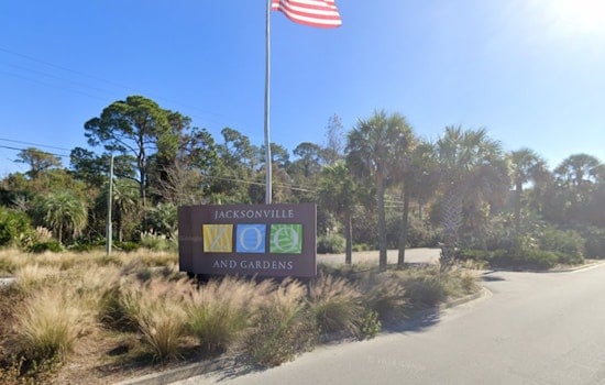 Escaped Warthog Mateo Located with Help of Thermal Drone at Jacksonville Zoo