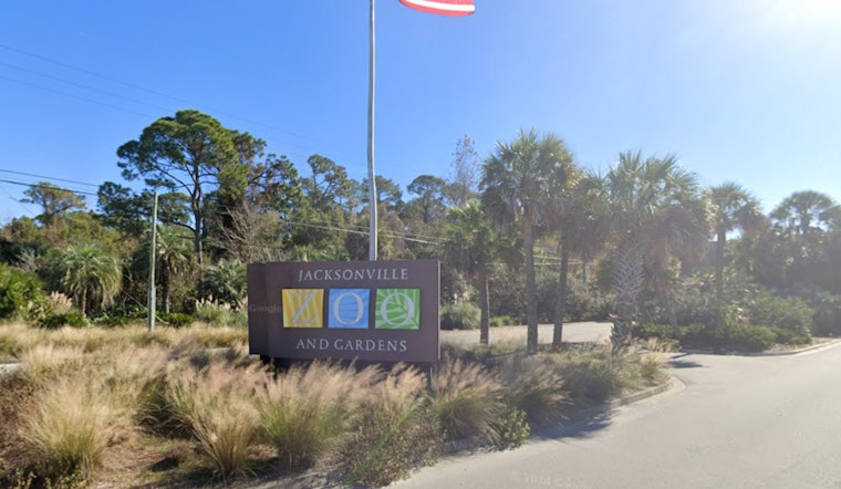Escaped Warthog Mateo Located with Help of Thermal Drone at Jacksonville Zoo