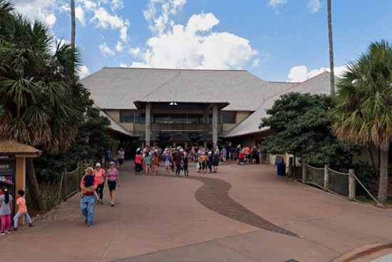 Escaped Warthog Prompts Evacuation and Shutdown of Jacksonville Zoo During Holiday Event