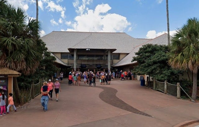 Escaped Warthog Prompts Evacuation and Shutdown of Jacksonville Zoo During Holiday Event