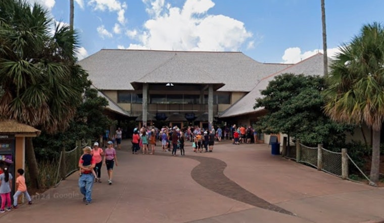 Escaped Warthog Prompts Evacuation and Shutdown of Jacksonville Zoo During Holiday Event