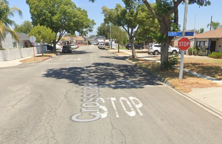 Family Dog Attack in Norwalk Home Injures Three, Animal Fatally Stabbed by Family Member