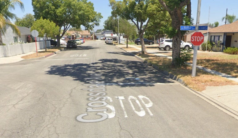 Family Dog Attack in Norwalk Home Injures Three, Animal Fatally Stabbed by Family Member