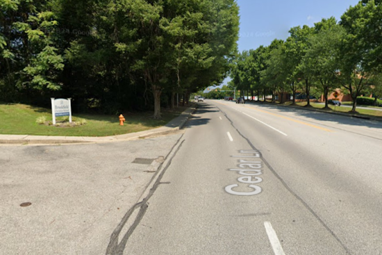 Fatal Pedestrian Accident in Columbia, Man Struck by Car on Cedar Lane