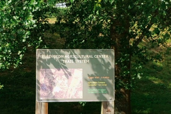 Fayette County's New 5,477-Acre Wolf River State Forest Enriches Tennessee's Conservation Efforts