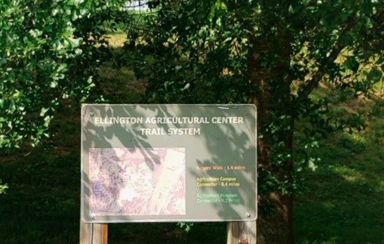 Fayette County's New 5,477-Acre Wolf River State Forest Enriches Tennessee's Conservation Efforts