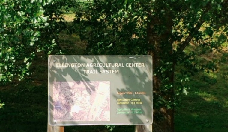 Fayette County's New 5,477-Acre Wolf River State Forest Enriches Tennessee's Conservation Efforts