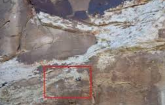 Federal Authorities Seek Public Help in Probe of Petroglyph Vandalism in Uintah County