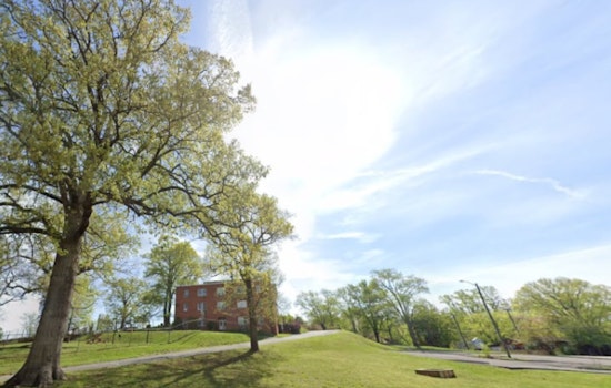 Festive Forecast in Knoxville, Sunny Christmas with Mild Temperatures Ahead