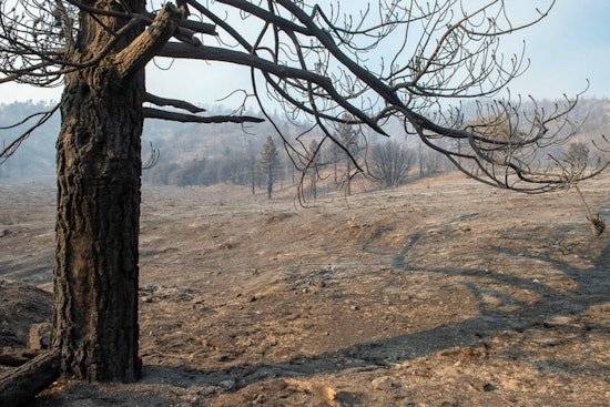 Final Call for Bridge Fire Victims: Apply for SBA Disaster Loans Before Deadline
