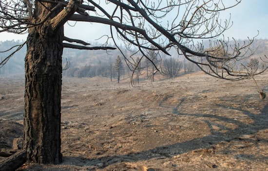 Final Call for Bridge Fire Victims: Apply for SBA Disaster Loans Before Deadline