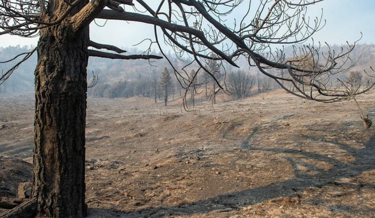 Final Call for Bridge Fire Victims: Apply for SBA Disaster Loans Before Deadline