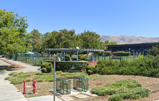 Fire at Humane Society of Silicon Valley's Animal Shelter in Milpitas Successfully Contained, No Casualties Reported