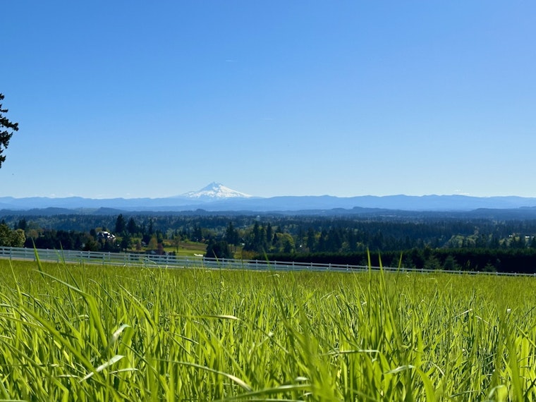 Fog Blankets Portland, Sunshine on Horizon Before Rainy Weekend Ahead