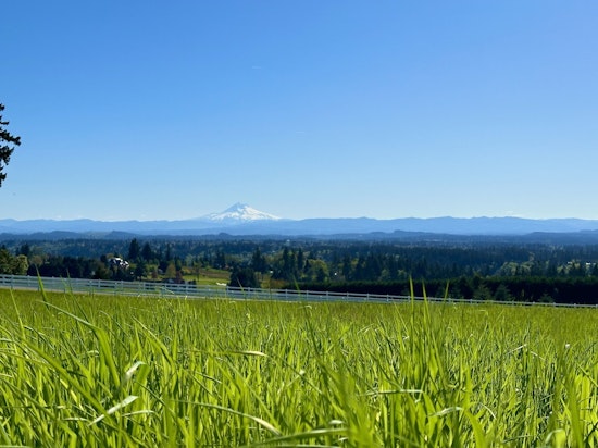 Fog Blankets Portland, Sunshine on Horizon Before Rainy Weekend Ahead