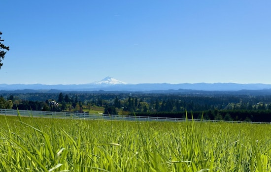 Fog Blankets Portland, Sunshine on Horizon Before Rainy Weekend Ahead