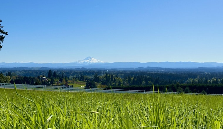 Fog Blankets Portland, Sunshine on Horizon Before Rainy Weekend Ahead