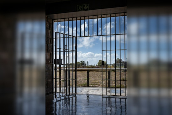Former Medellin Cartel Drug Lord Fabio Ochoa Released After 25 Years in U.S. Prison, Set for Deportation to Colombia