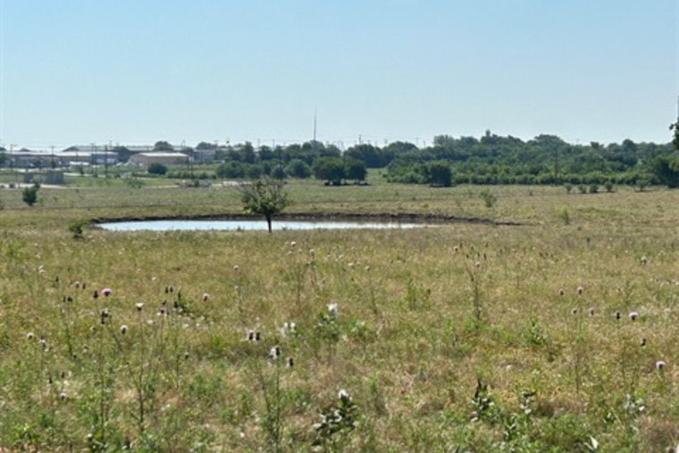 Fort Worth Expands Parkland with Tinsley Ranch Acquisition and Extended Lease for Recreation