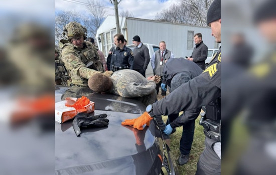 Fugitive in Madisonville Attempts Escape Through Trap Door, Captured in Multi-Agency Operation