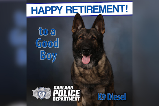 Garland's Beloved K9 Officer Diesel Retires After 8 Years of Distinguished Service
