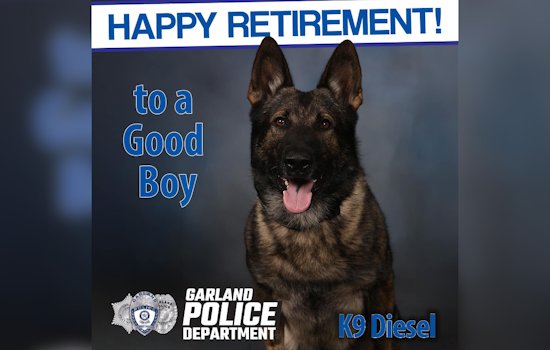 Garland's Beloved K9 Officer Diesel Retires After 8 Years of Distinguished Service