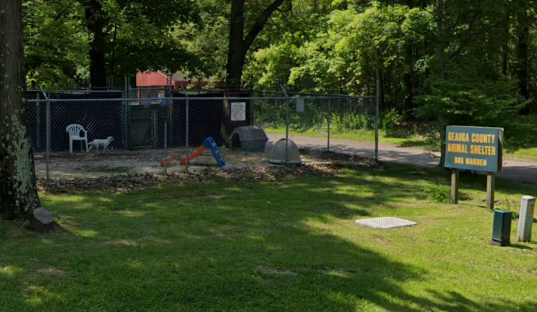 Geauga County in Turmoil: Dog Warden's Fate Uncertain, Shelter Receives $250K Amid Public Backlash