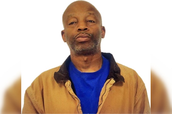 Georgia Man Charged with 25 Counts of Animal Cruelty After Dozens of Dogs Found in Perilous Conditions