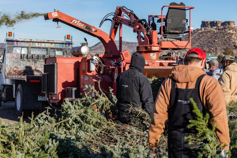 Go Green in the New Year: Douglas County Offers Christmas Tree Recycling and Free Mulch Until January 31, 2025