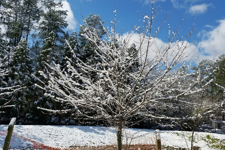 Gov. Cooper Advises North Carolinians to Brace for Winter Weather with Safety Precautions in Place