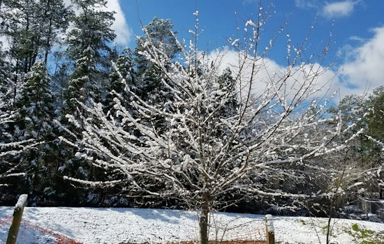 Gov. Cooper Advises North Carolinians to Brace for Winter Weather with Safety Precautions in Place