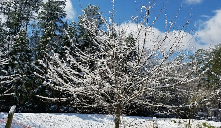Gov. Cooper Advises North Carolinians to Brace for Winter Weather with Safety Precautions in Place