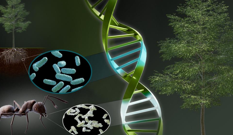 "Booster" Gene Supercharges Plants and Skyrockets Crop Potential in ORNL and University of Illinois Breakthrough