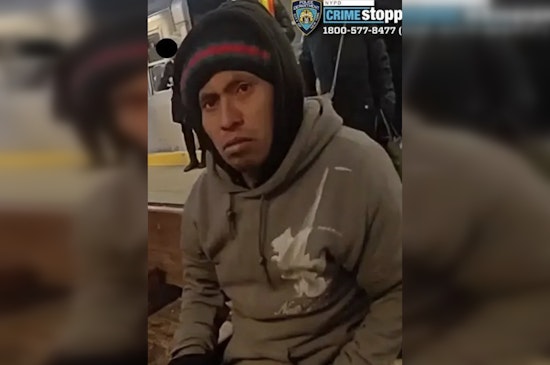 Guatemalan Migrant Apprehended for Alleged Subway Murder in New York City