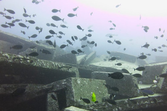 Hawaiʻi's Nearshore Fishers Collaborate with State on New Reef Habitat Plan