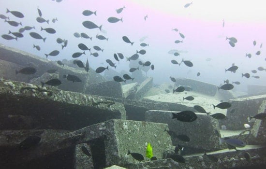 Hawaiʻi's Nearshore Fishers Collaborate with State on New Reef Habitat Plan
