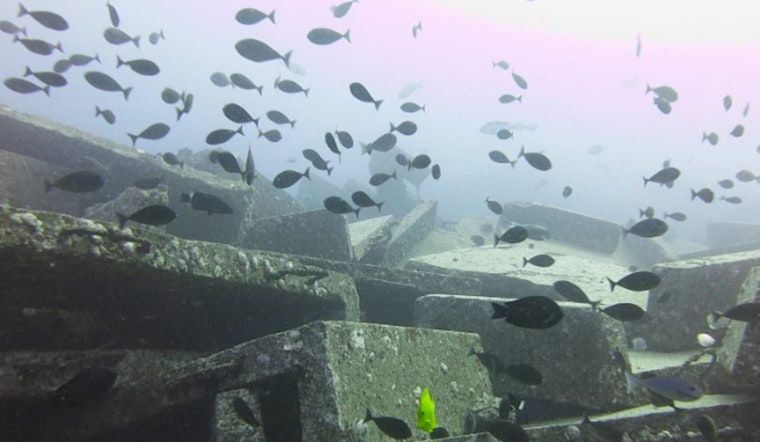 Hawaiʻi's Nearshore Fishers Collaborate with State on New Reef Habitat Plan
