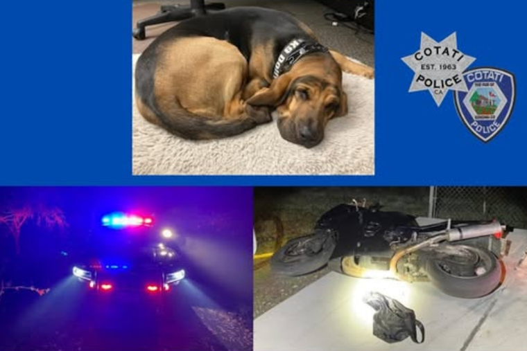 High-Speed Motorcycle Chase in Rohnert Park Leads to Multi-Agency Manhunt and Two Arrests