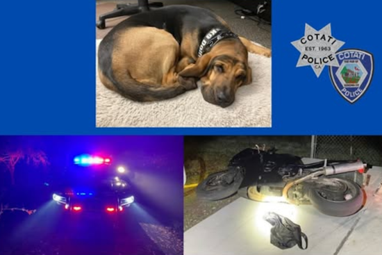 High-Speed Motorcycle Chase in Rohnert Park Leads to Multi-Agency Manhunt and Two Arrests