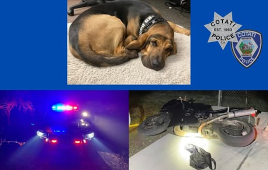 High-Speed Motorcycle Chase in Rohnert Park Leads to Multi-Agency Manhunt and Two Arrests
