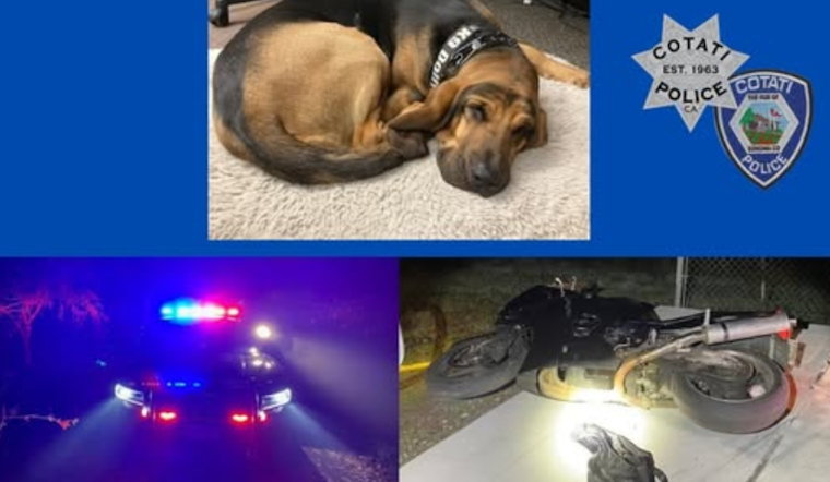 High-Speed Motorcycle Chase in Rohnert Park Leads to Multi-Agency Manhunt and Two Arrests