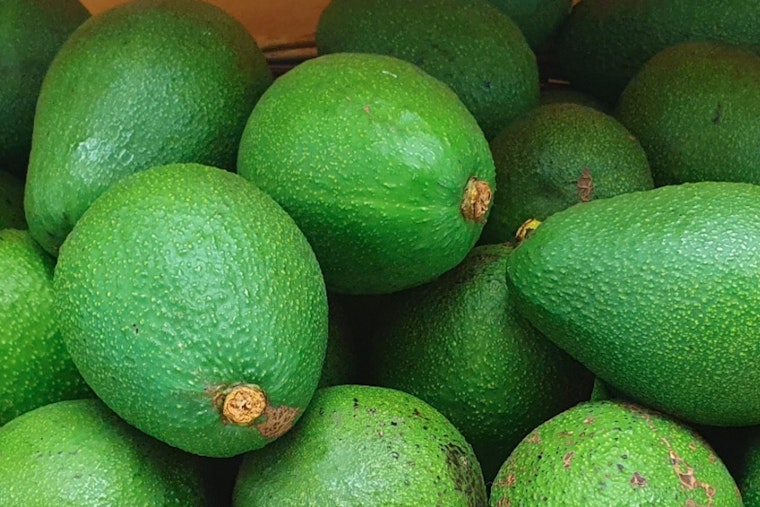 Hill County Deputies Recover Over 34K Stolen Avocados in Routine Traffic Stop Near Laredo