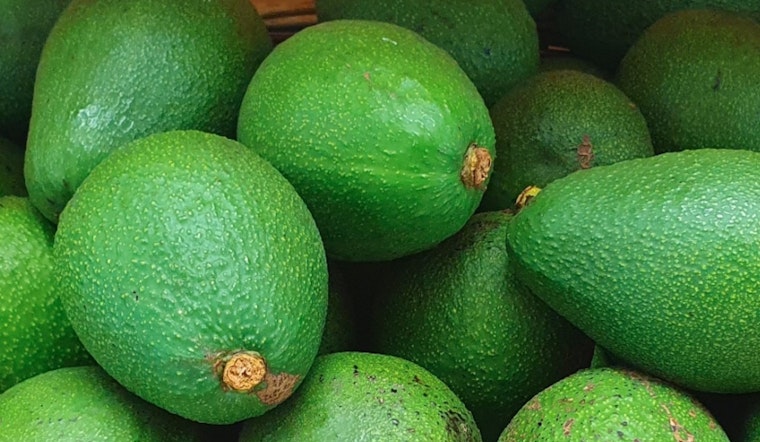 Hill County Deputies Recover Over 34K Stolen Avocados in Routine Traffic Stop Near Laredo