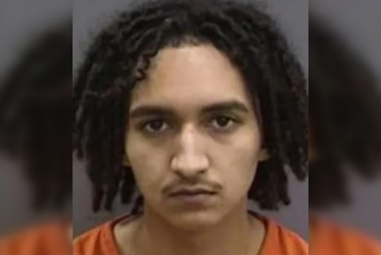 Hillsborough County Joint Operation Nets 17 Arrests, Convicted Felon Among Those Apprehended by Police