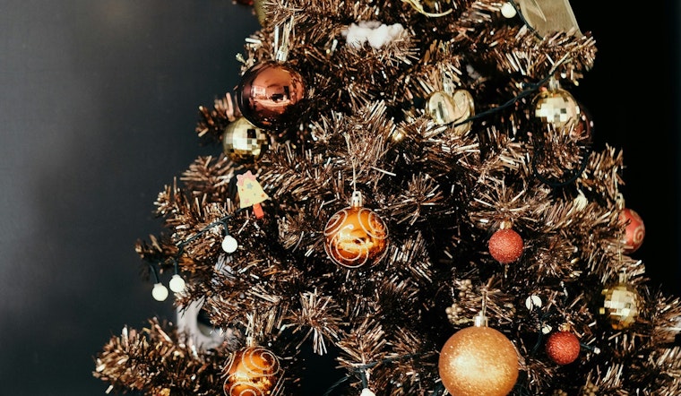 Hillsborough County Offers Eco-Friendly Christmas Tree Disposal Options in Tampa and Gibsonton