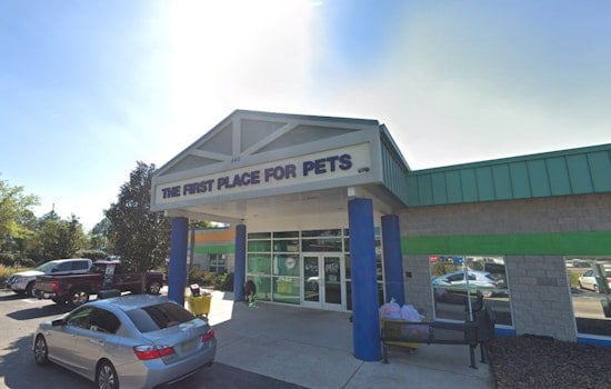 Hillsborough County Pet Resource Center Launches Adoption Drives to Curb Overcrowding