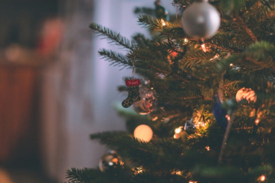 Holiday Schedule Shift for Hillsborough Garbage Pickup and Tree Disposal Guidelines Issued