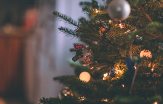 Holiday Schedule Shift for Hillsborough Garbage Pickup and Tree Disposal Guidelines Issued