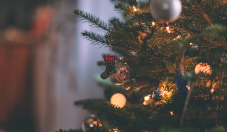 Holiday Schedule Shift for Hillsborough Garbage Pickup and Tree Disposal Guidelines Issued